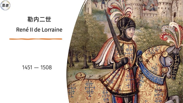 脑走向组织 脑走向组织